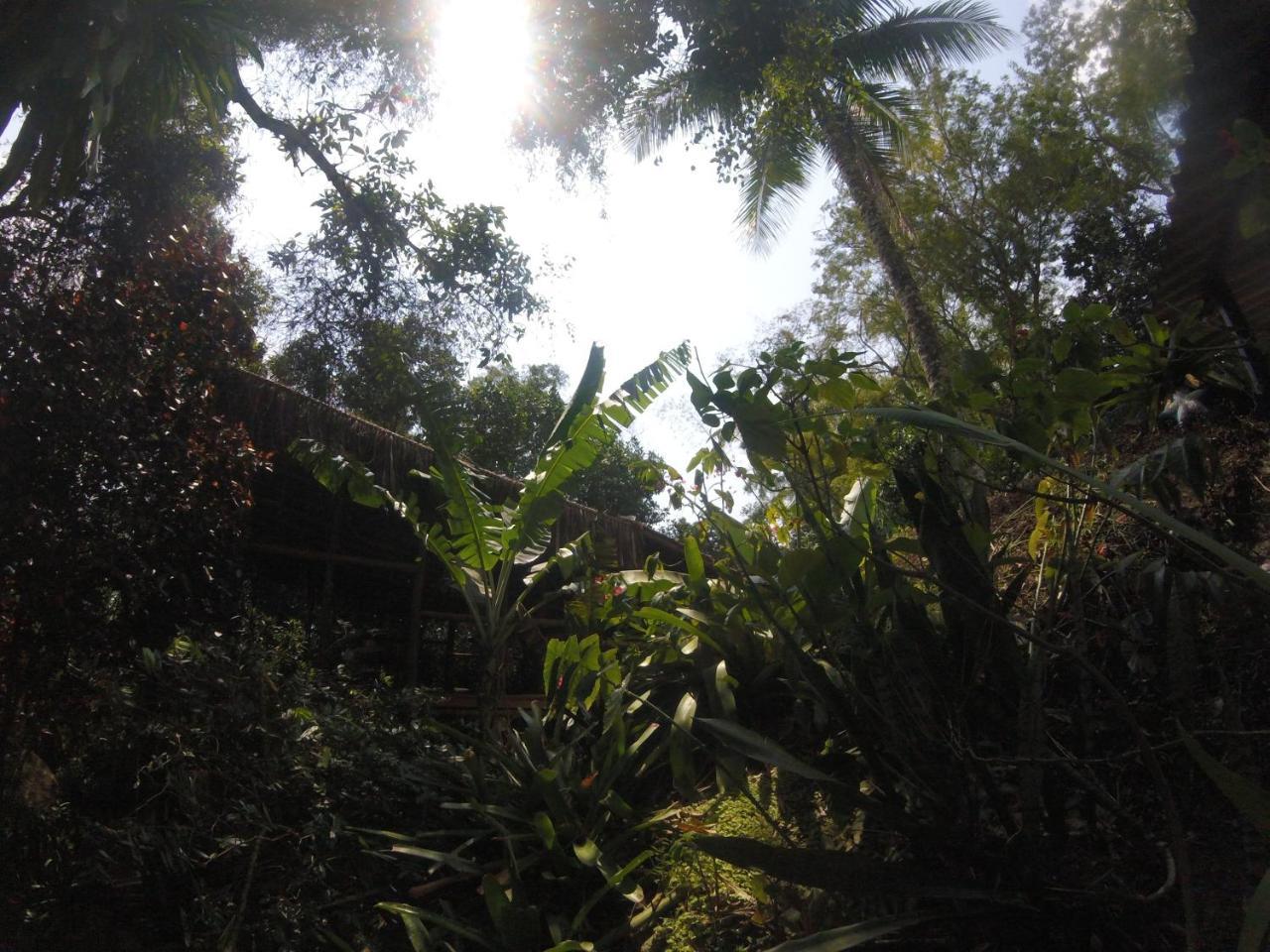 Bosque Dos Esquilos Abraão Esterno foto